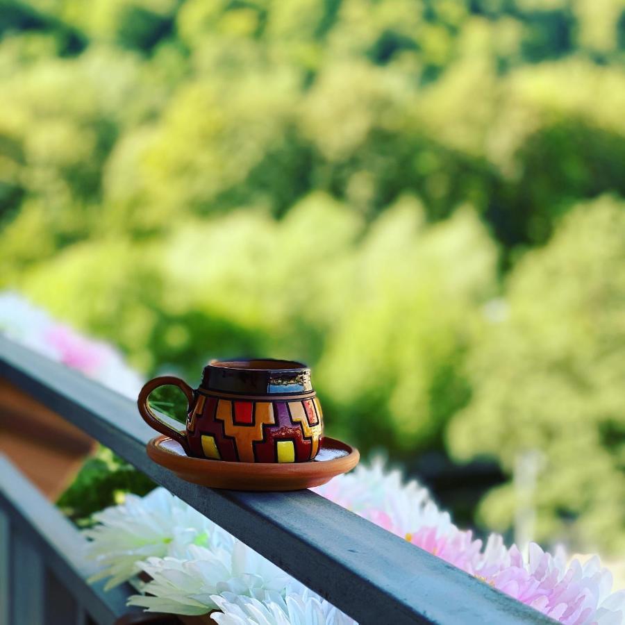 Sunny Apartment Dilican Dış mekan fotoğraf