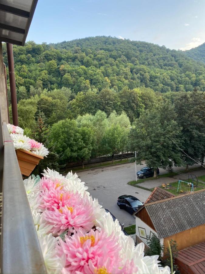 Sunny Apartment Dilican Dış mekan fotoğraf